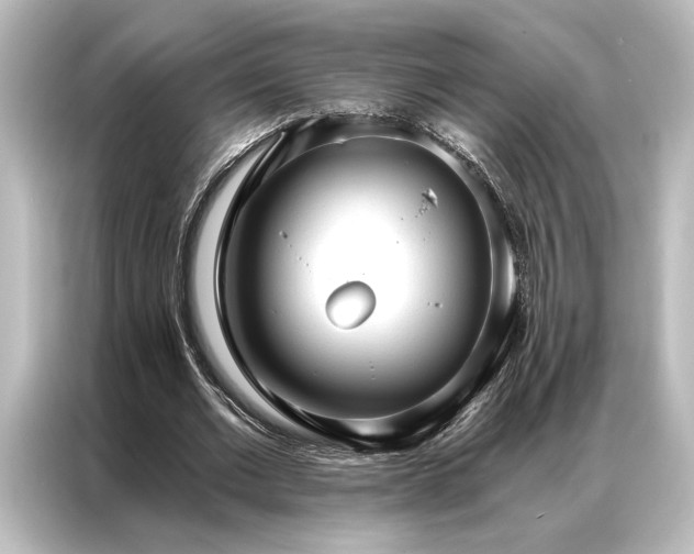 X0000087040677200705021137