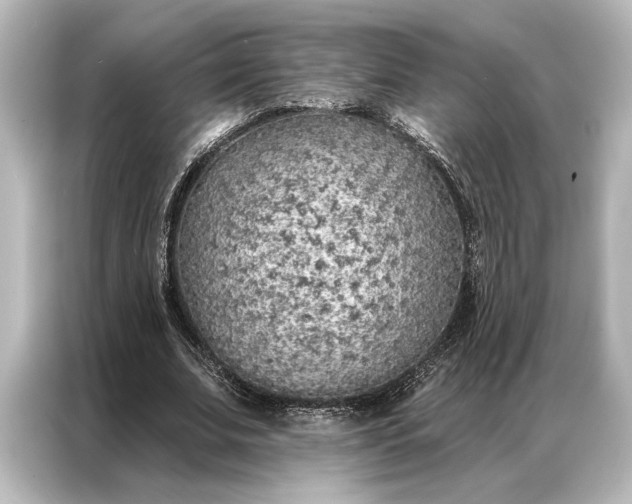 X0000087040679200705021137