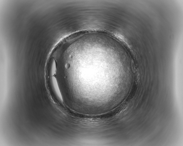 X0000087040680200705021137