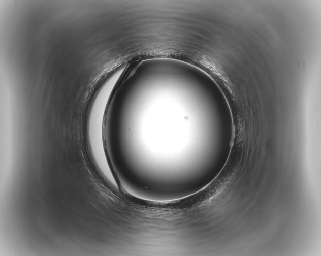 X0000087040681200705021137