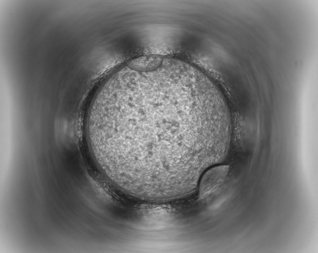 X0000087040683200705021137