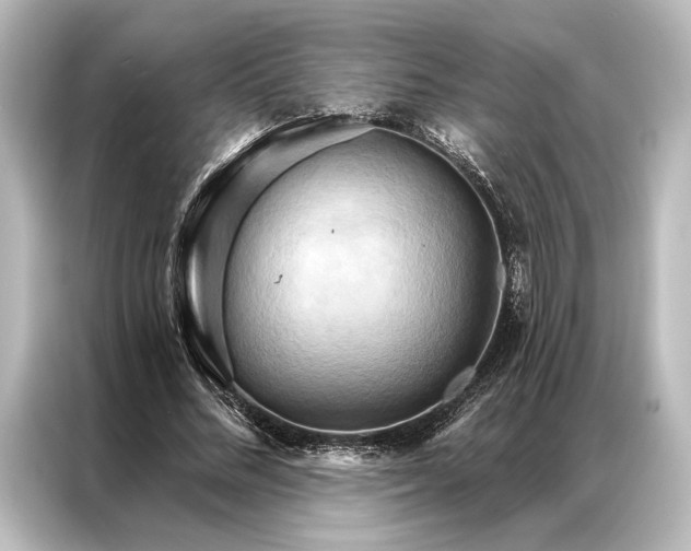 X0000087040684200705021137