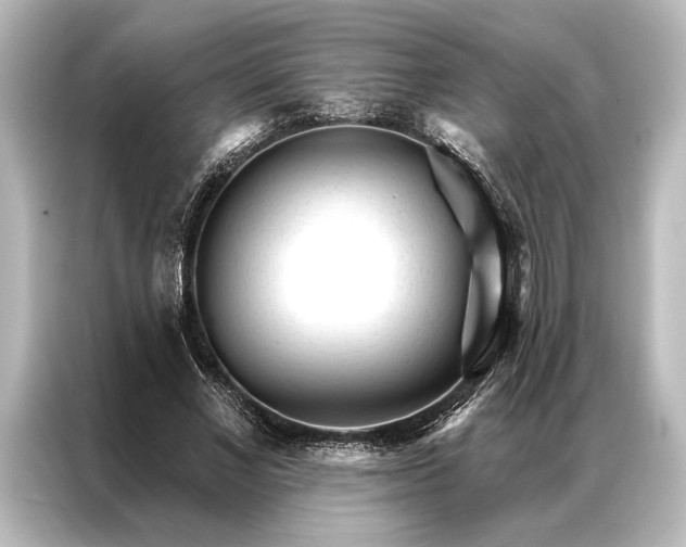 X0000087040685200705021137