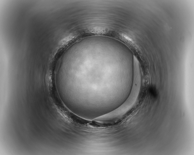X0000087040688200705021137