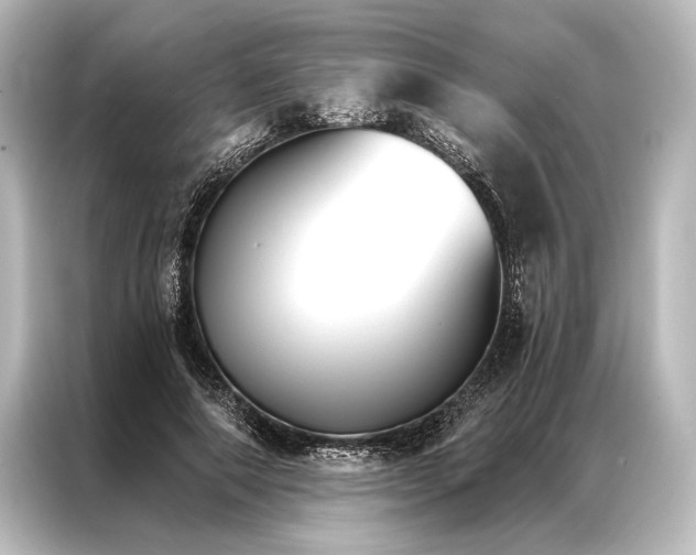 X0000087040690200705021137
