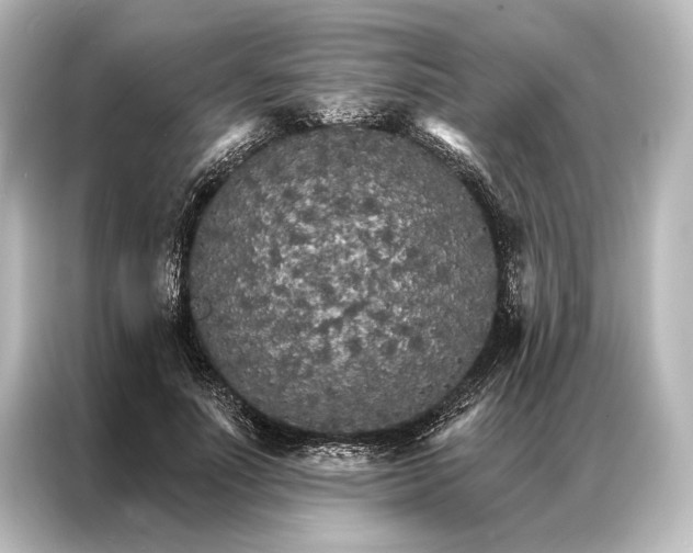 X0000087040691200705021137