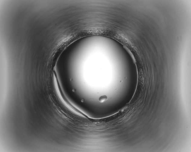 X0000087040692200705021137