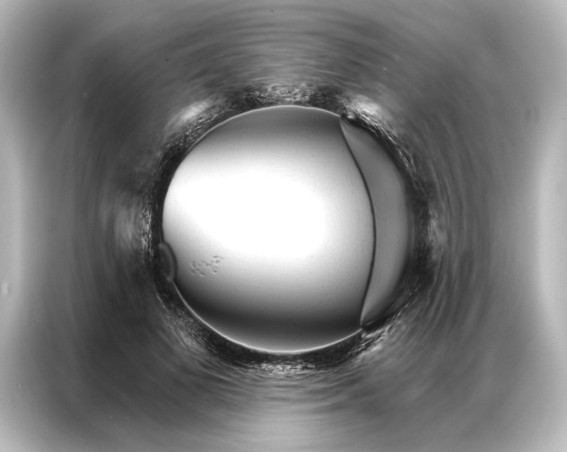 X0000087040693200705021137