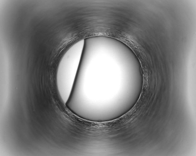 X0000087040696200705021137