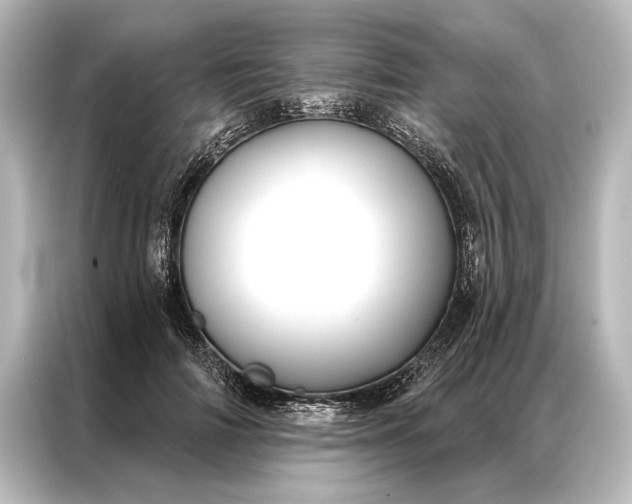 X0000087040698200705021137