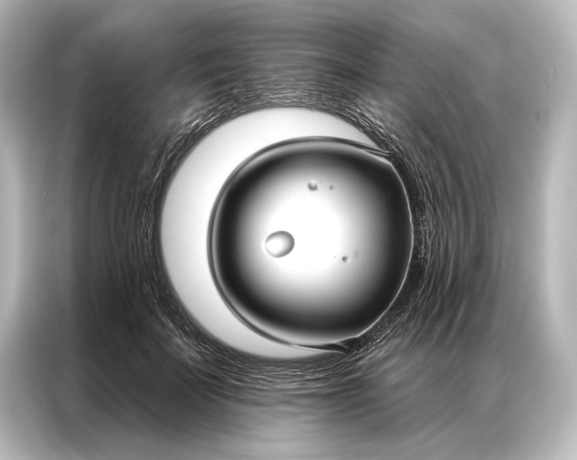 X0000087040699200705021137
