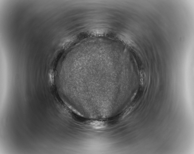 X0000087040718200705021136
