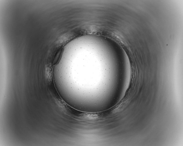 X0000087040719200705021136