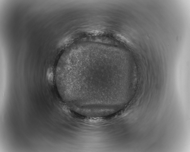 X0000087040720200705021136