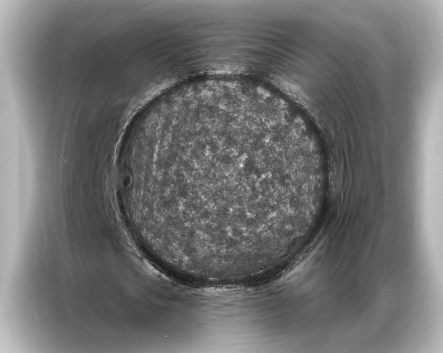 X0000087040721200705021136