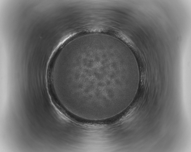 X0000087040722200705021136