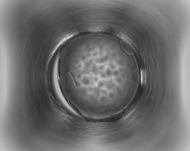 X0000087040723200705021136