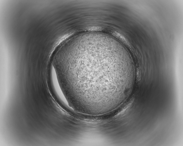 X0000087040725200705021136