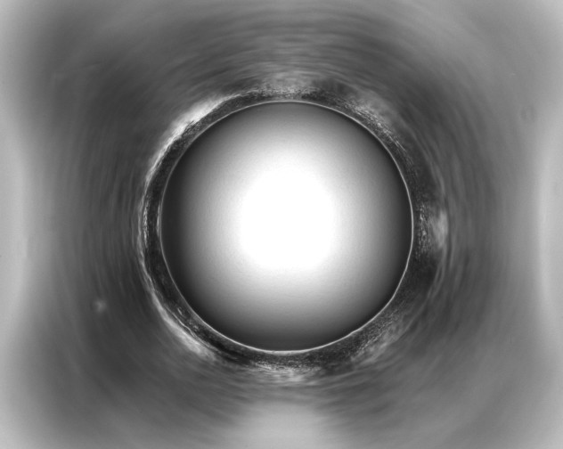 X0000087040726200705021136