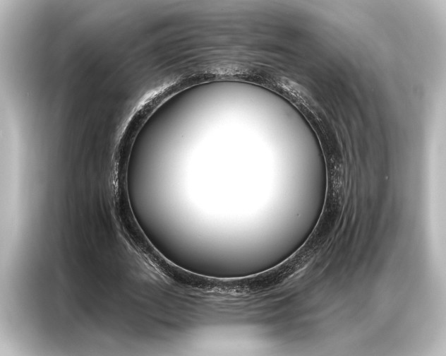 X0000087040727200705021136