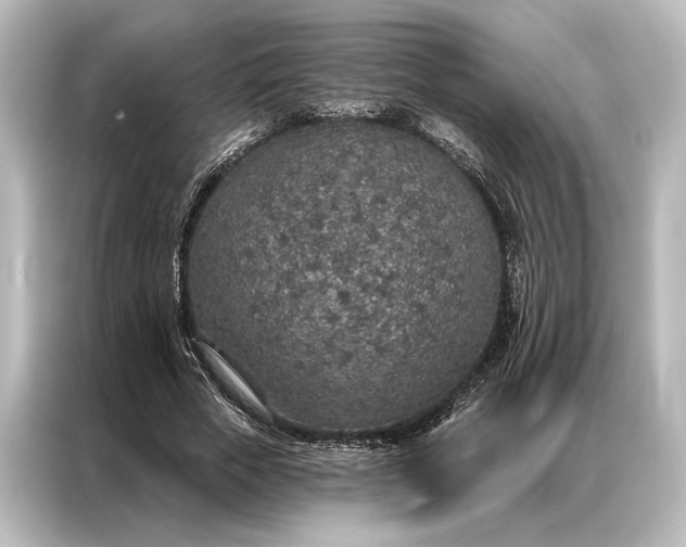 X0000087040729200705021136