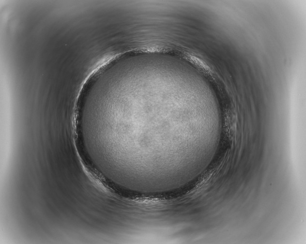 X0000087040730200705021136