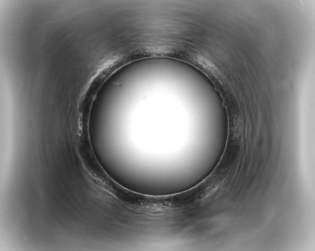 X0000087040731200705021136