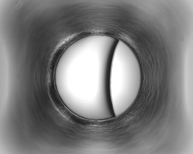 X0000087040732200705021136