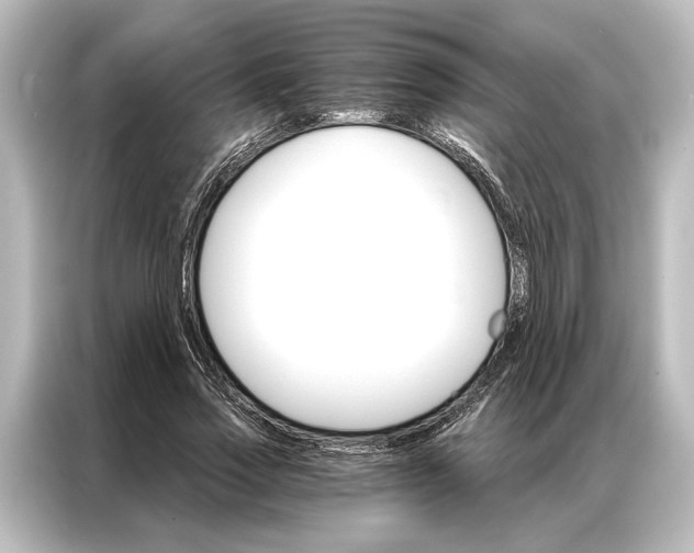 X0000087040733200705021136