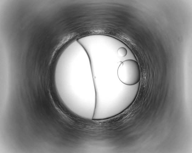 X0000087040734200705021136
