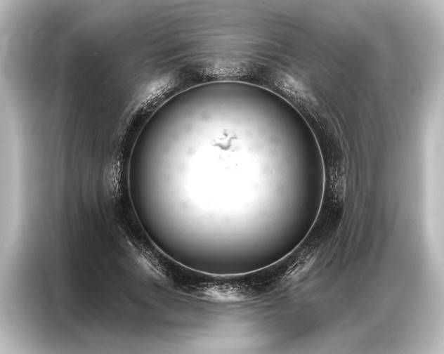 X0000087040735200705021136