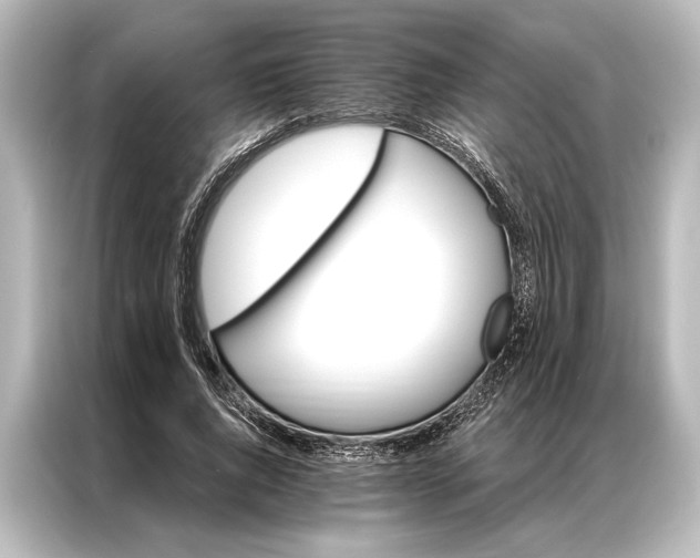 X0000087040736200705021136