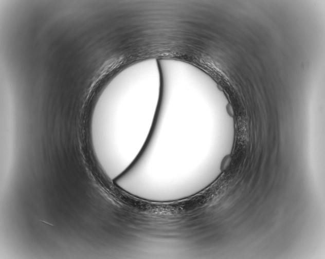 X0000087040738200705021136