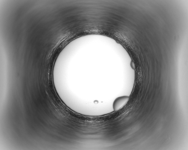 X0000087040739200705021136