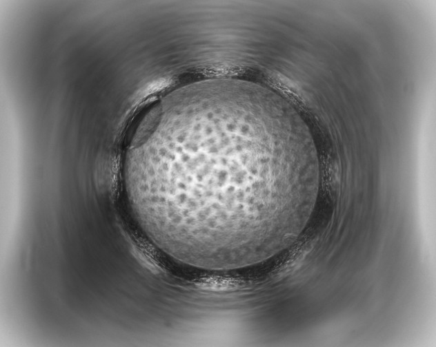 X0000087040742200705021136