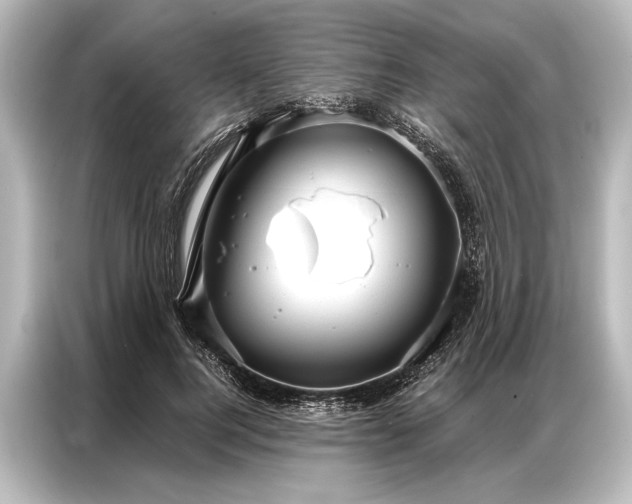 X0000087040744200705021136