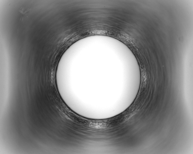 X0000087040745200705021136