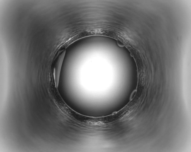 X0000087040747200705021136