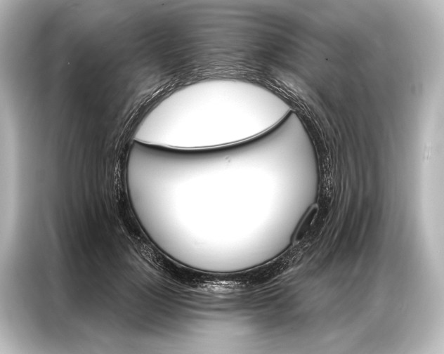 X0000087040748200705021136