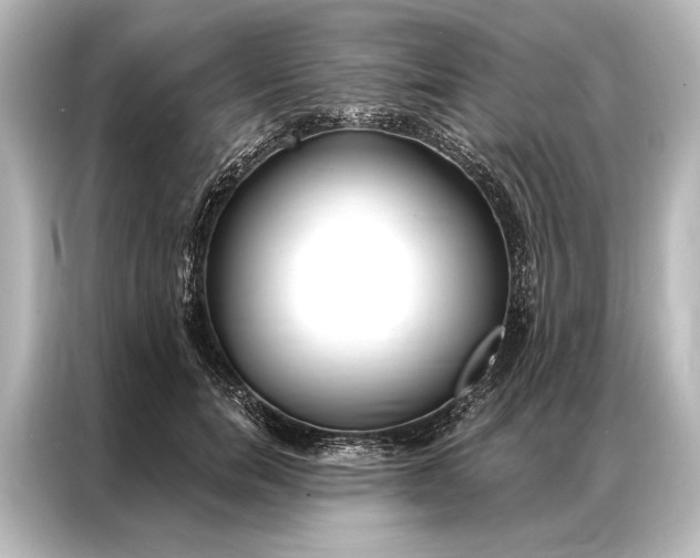X0000087040750200705021136
