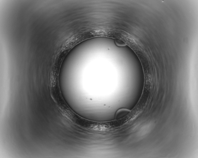 X0000087040751200705021136