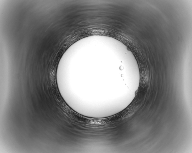 X0000087040753200705021136