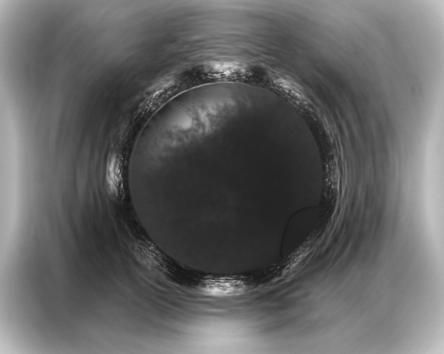 X0000087040754200705021136