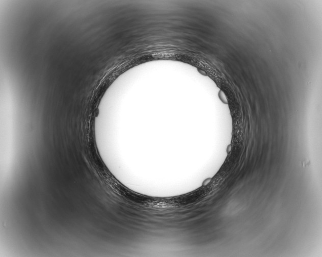X0000087040755200705021136
