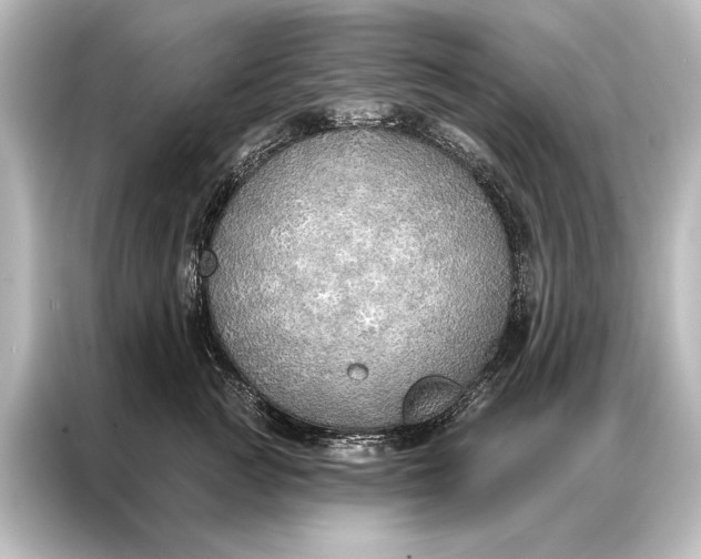 X0000087040761200705021136