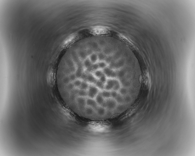 X0000087040763200705021136