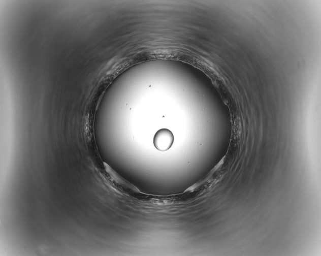 X0000087040764200705021136