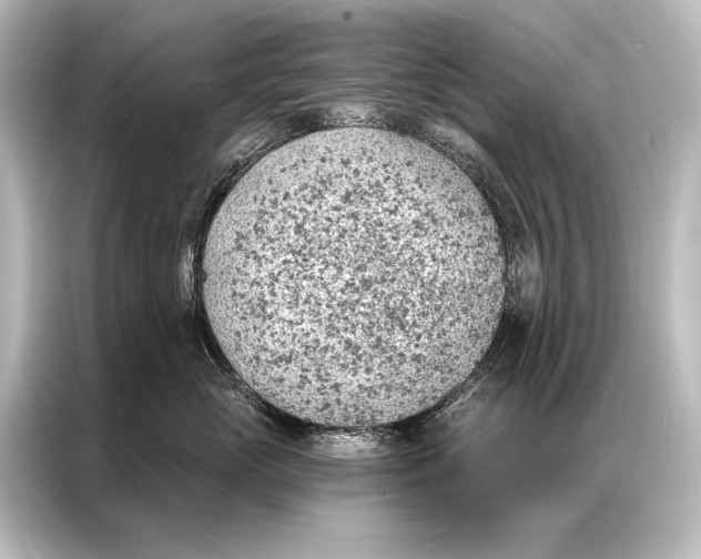X0000087040765200705021136
