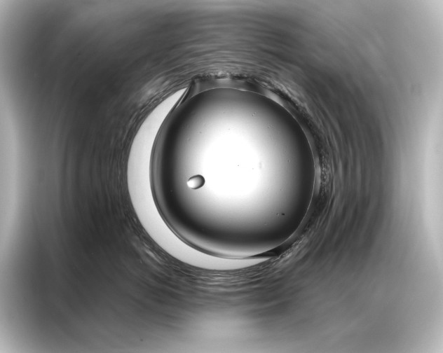 X0000087040766200705021136
