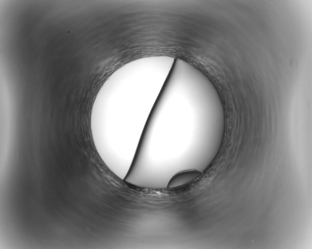 X0000087040768200705021136